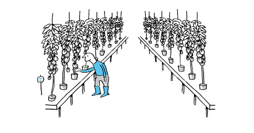 studierichting aarde en milieu